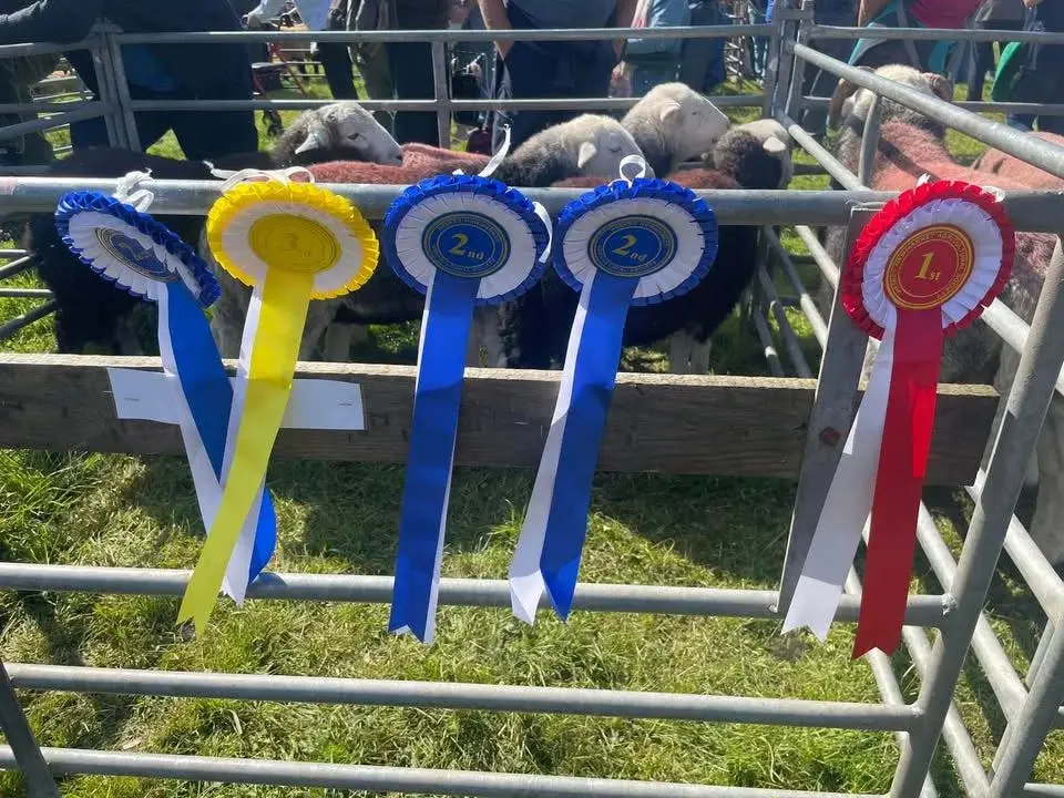 Skelton Show 