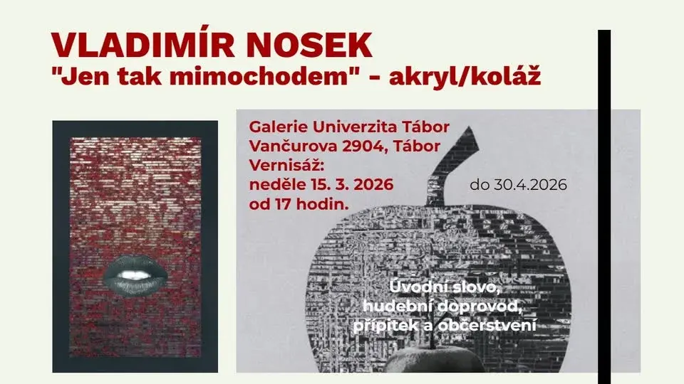 VLADIMÍR NOSEK "Jen tak mimochodem”
