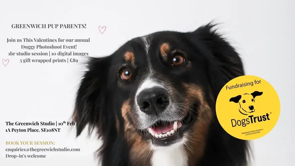 Greenwich Doggy Portrait Event - Supporting Dogs Trust