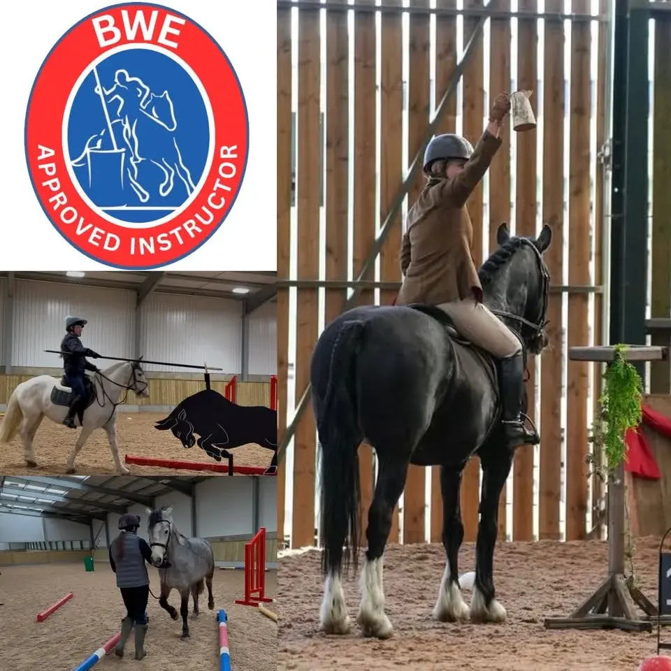 Broadstone Working Equitation Clinic