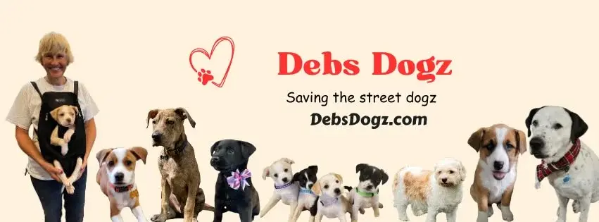 Adoption Event