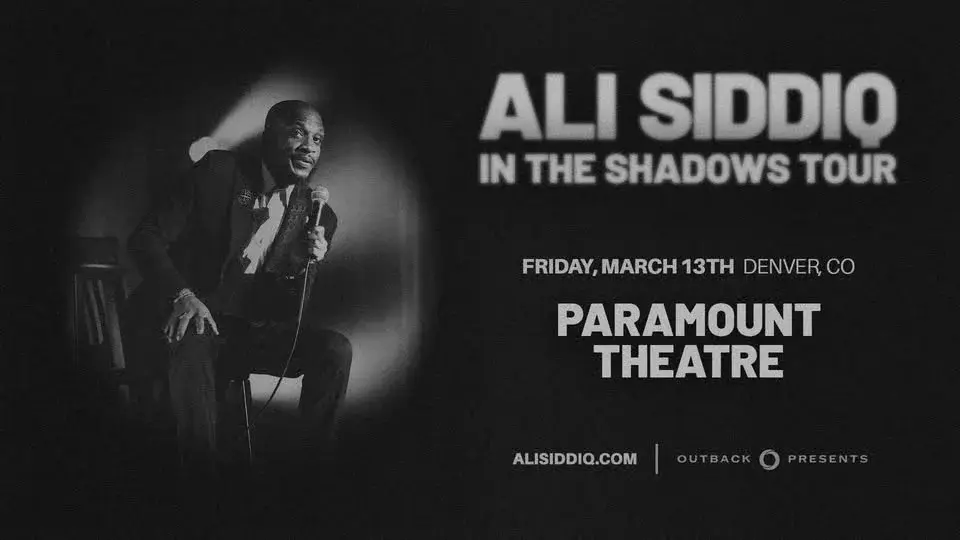 Ali Siddiq: In The Shadows