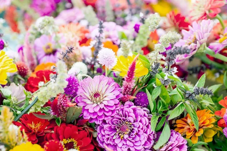 Summer Flower Evening