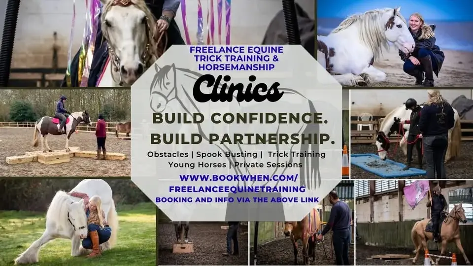 Pickering Grange Clinic - Obstacle/Spook Busting, Trick Training & Young Horse sessions