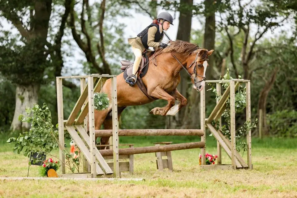 Crosbie Mains Show