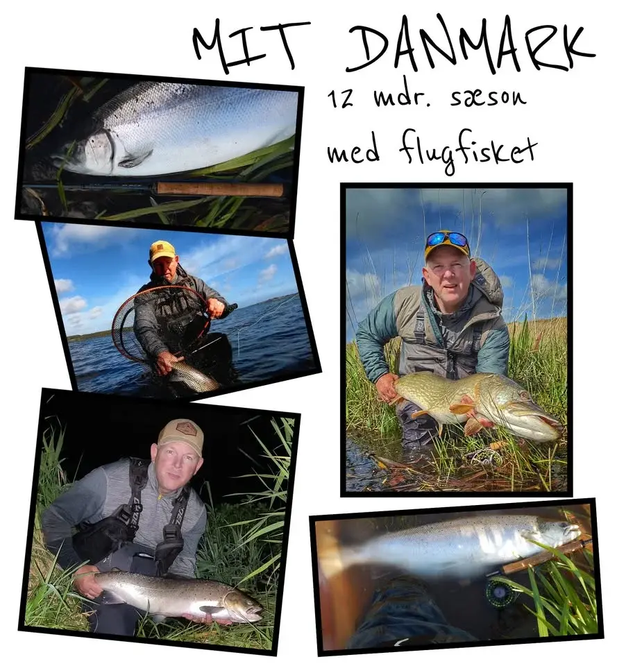 Mitt Danmark – föredrag med Brian Størup