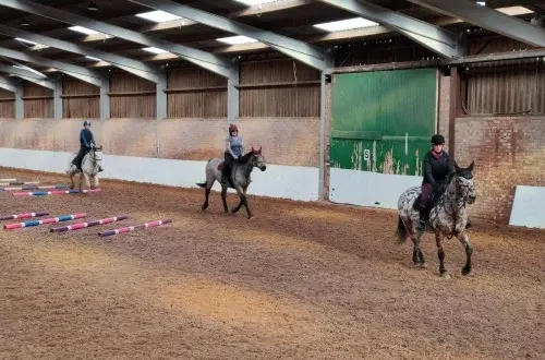 Grids or Flatwork/Poles with William Blane
