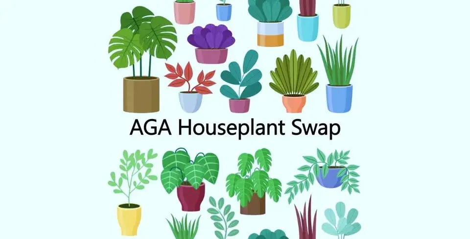 Houseplant Swap and BINGO  AGA