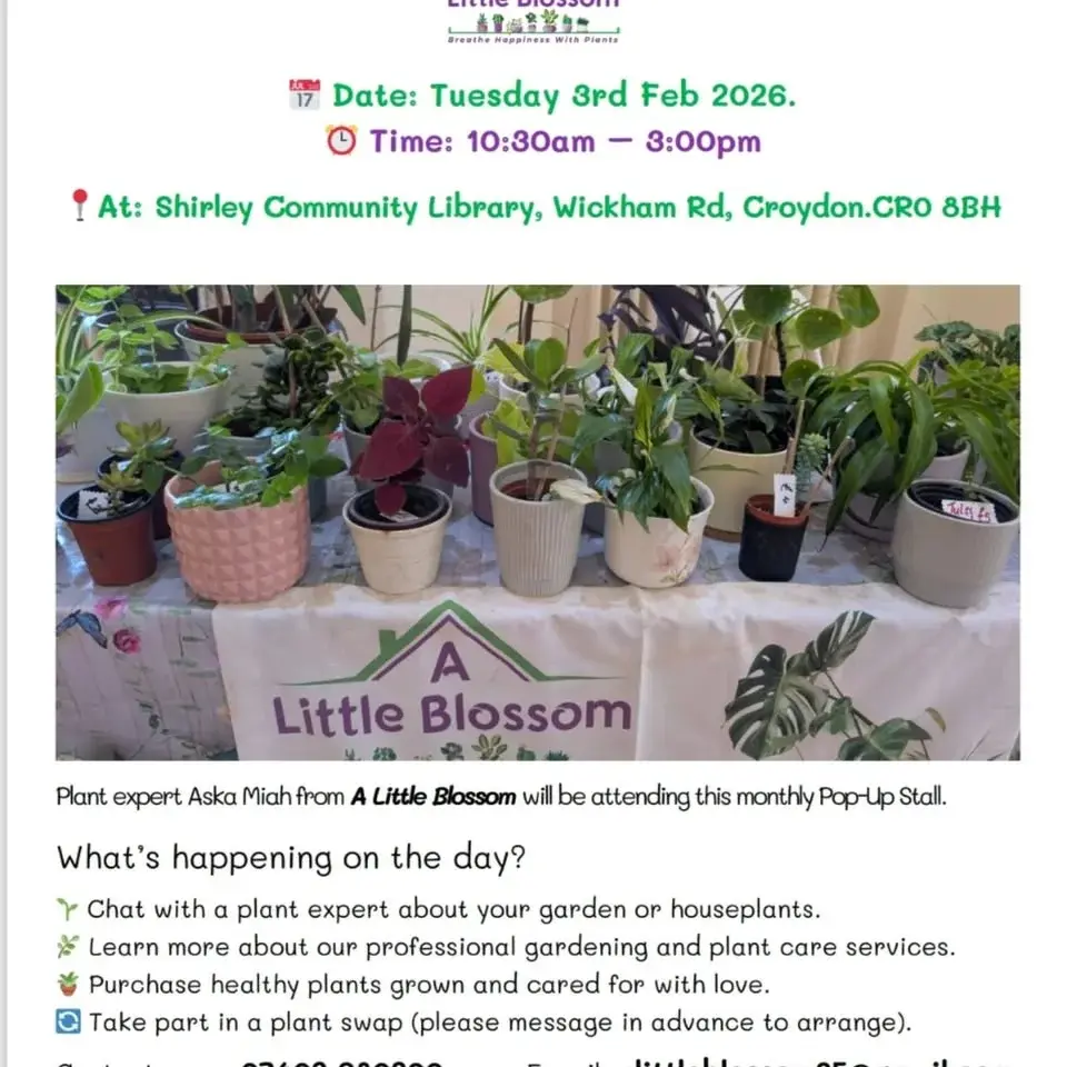 First Plant Pop Up Shop