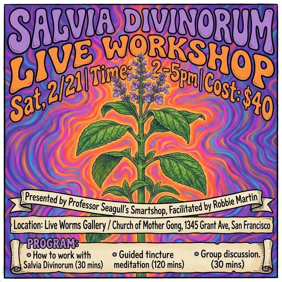 Salvia Divinorum Live Workshop