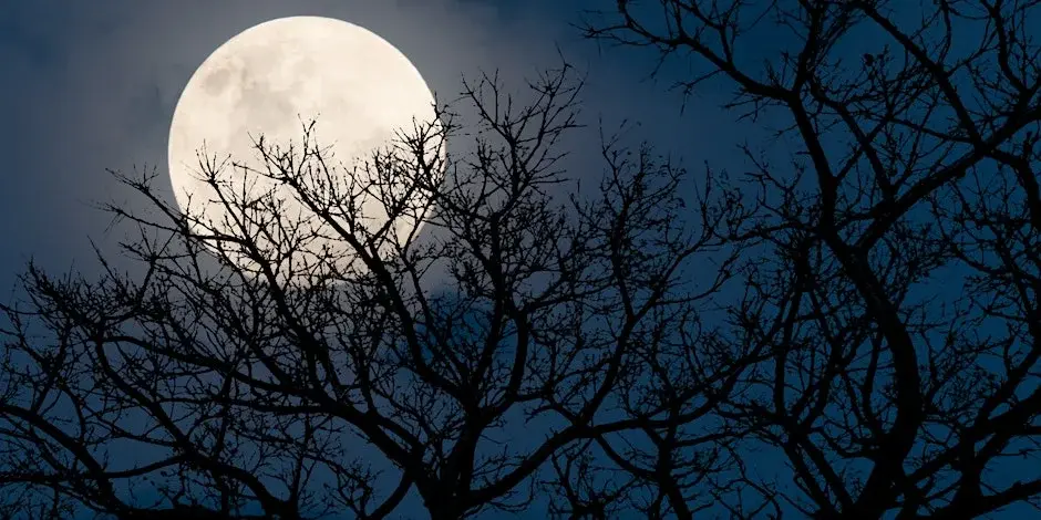 Full Moon Hike