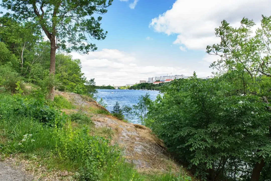 🥾🌞 Summer Special: Mid Week Hike Gulmarsplan to Liljeholmen (5 km) + After Hike Social