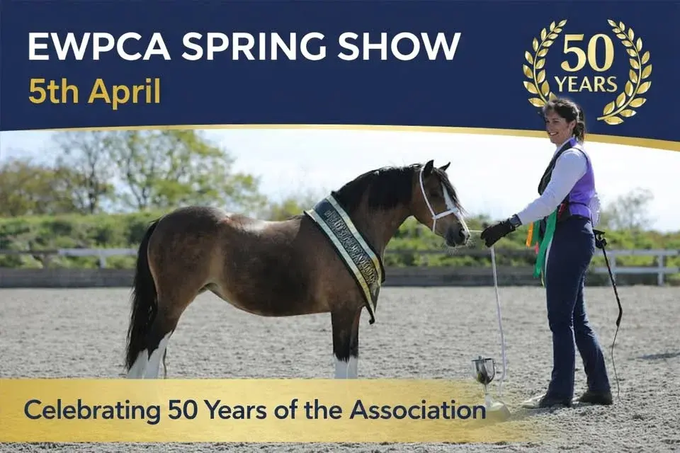 πΈ EWPCA Easter Show πΈ