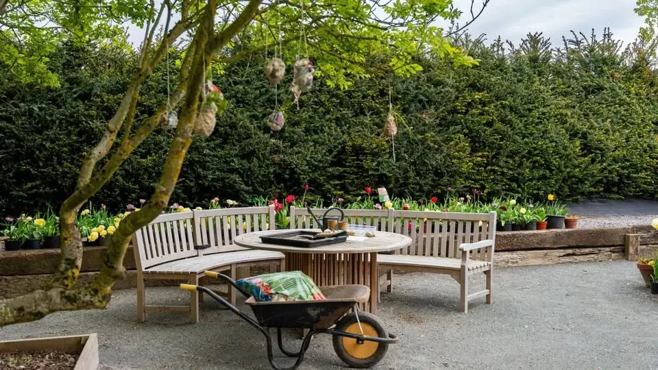 Nene Nursery Open Day (Soup & Soap)
