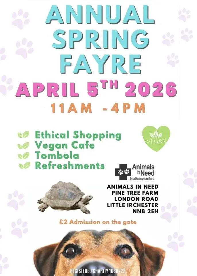 Spring Fair