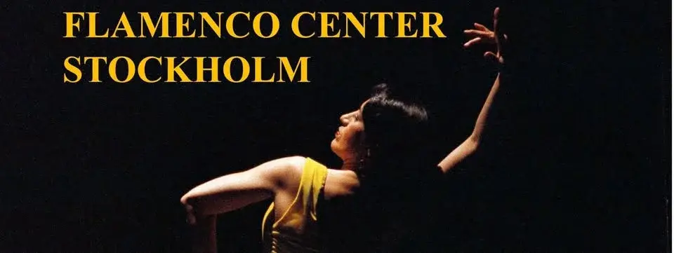 FLAMENCO WORKHOP 