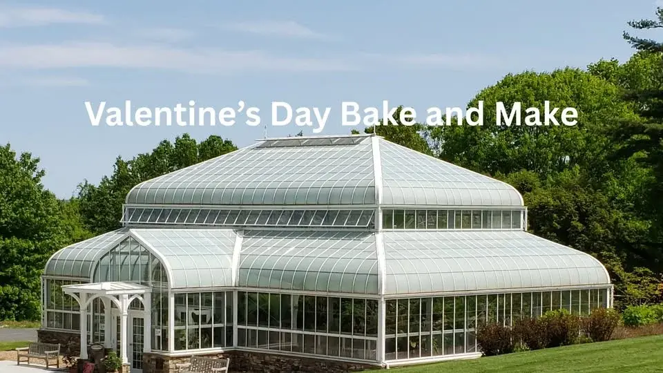 Valentine’s Day Bake and Make