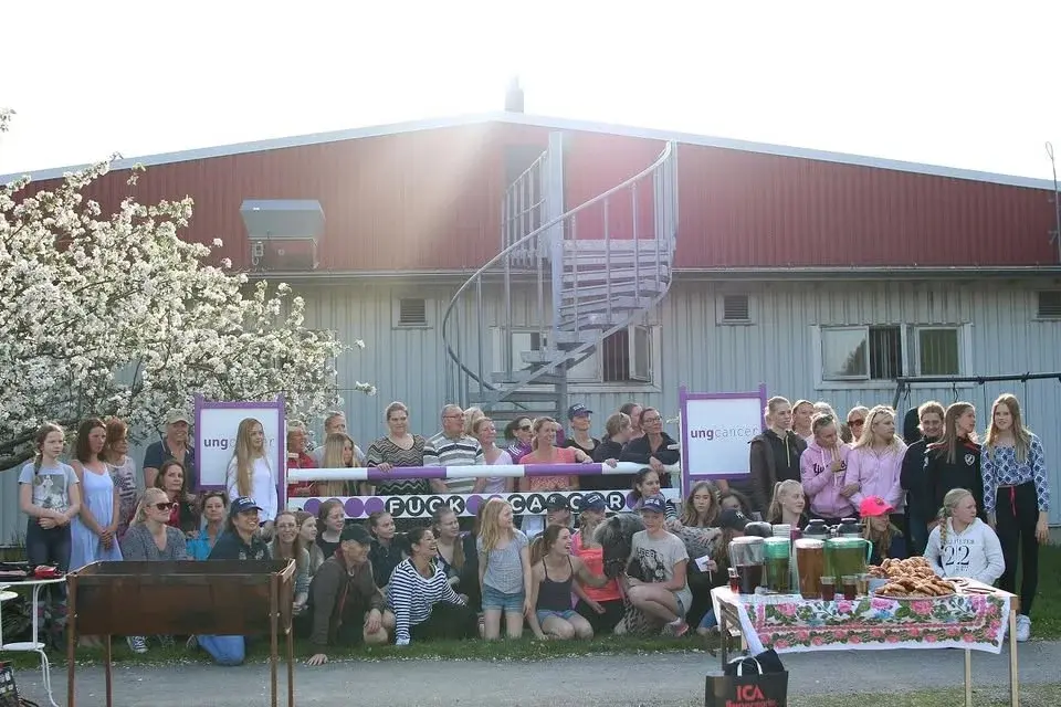 Sveriges Största Hästloppis
