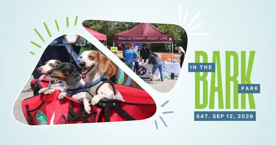 Bark in the Park