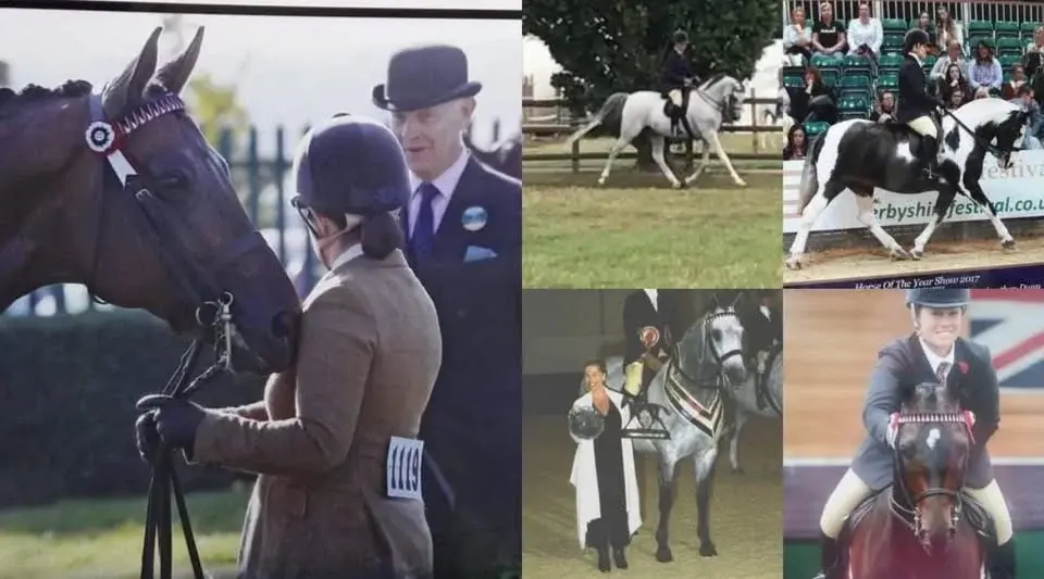 Showing & Flatwork Clinic with Penny Hollings