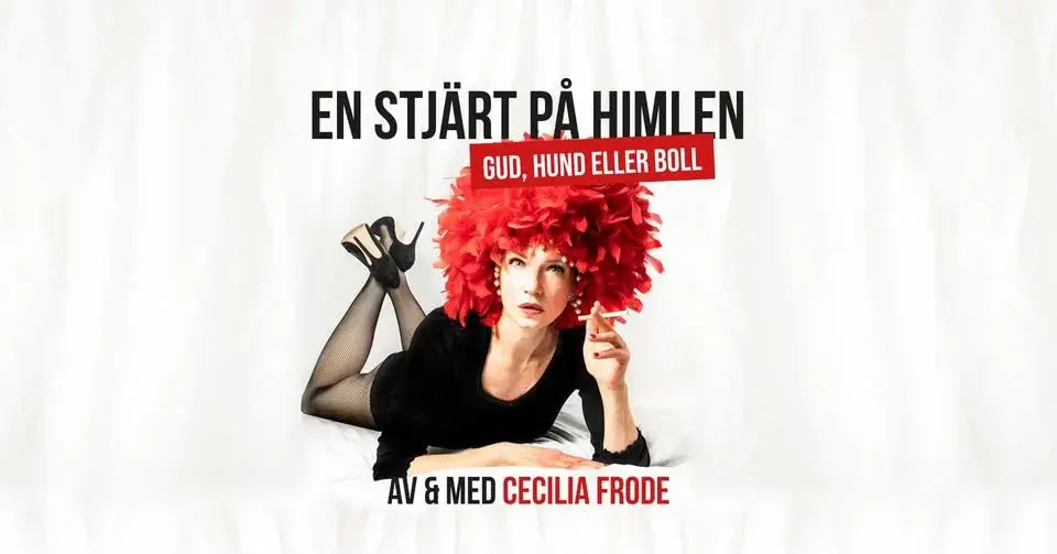CECILIA FRODE; En Stjärt på Himlen, Gud Hund eller Boll