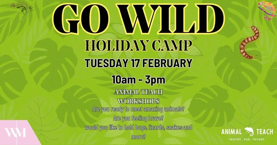 Go Wild Holiday Camp