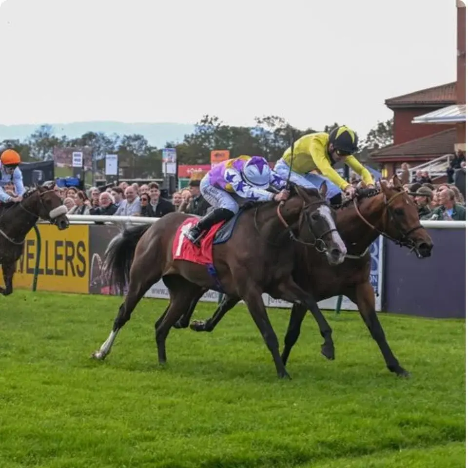 Wednesday Afternoon Racing 
