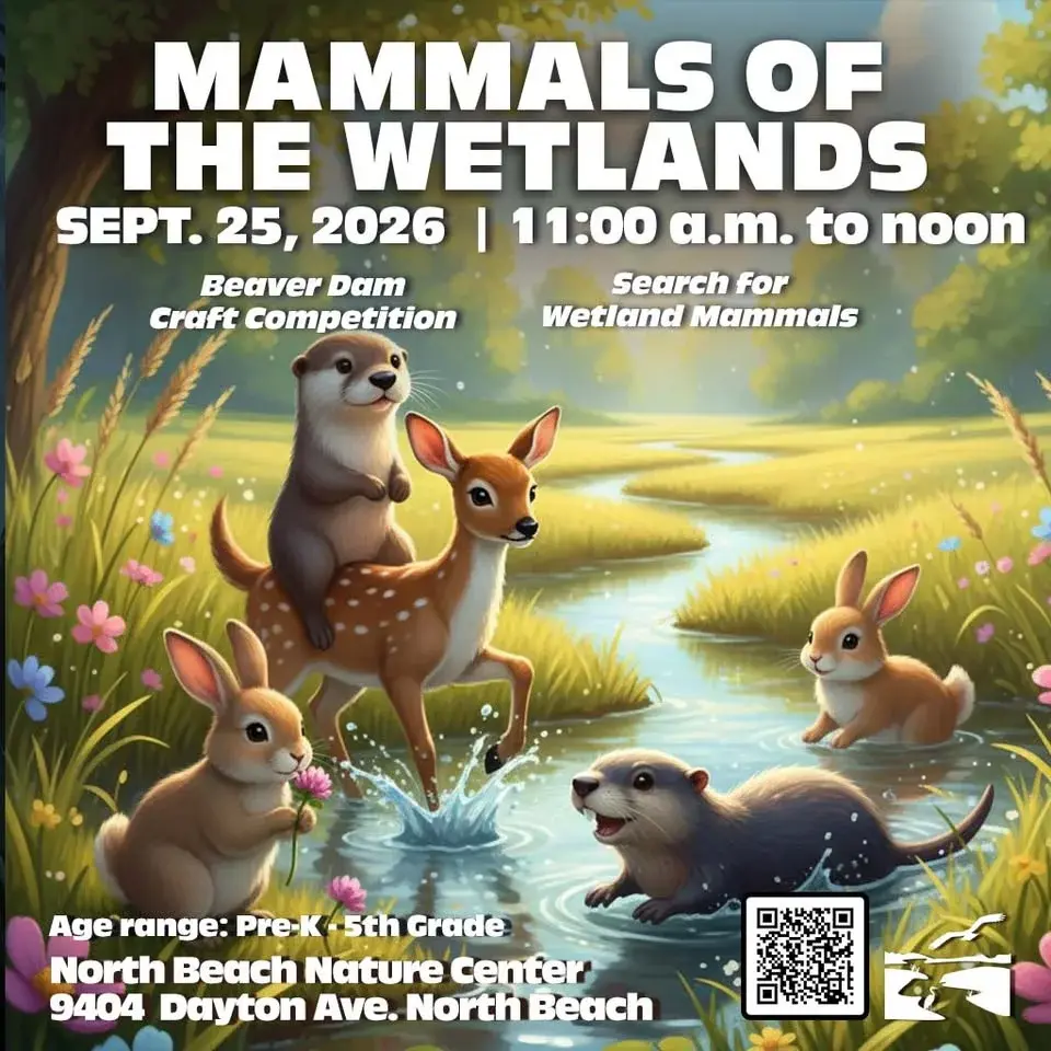 Mammals of the Wetlands - North Beach Nature Center