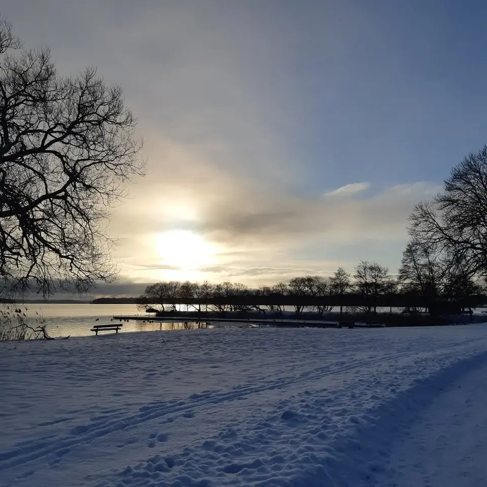 KRETSSTÄMMA