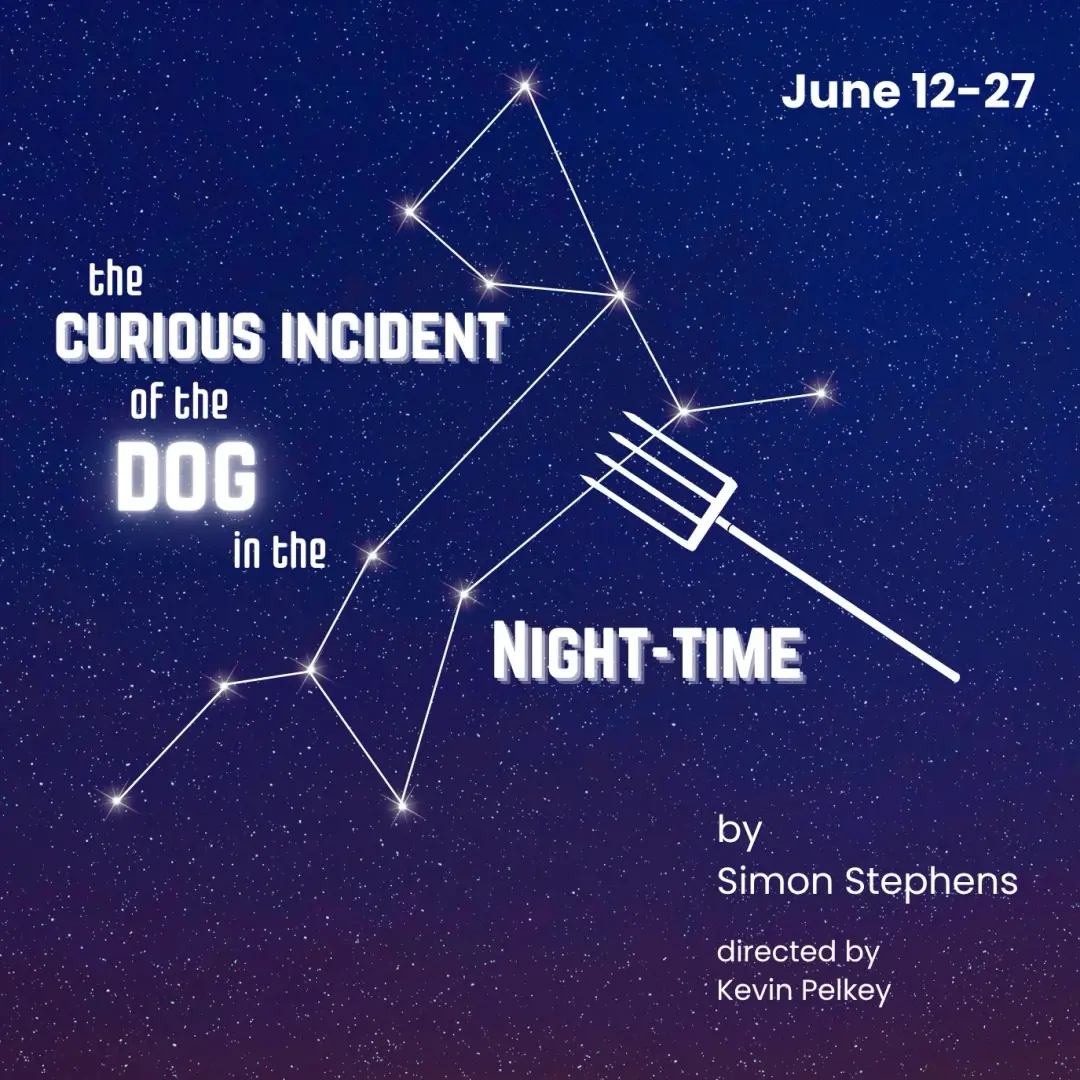 The Curious Incident of the Dog in the Night-Time