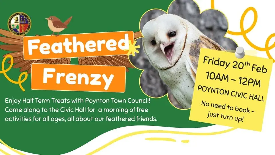 Feathered Frenzy - February Half Term Treats with PTC