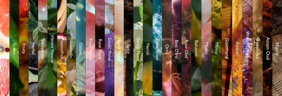 Fragrance Design Experience in London