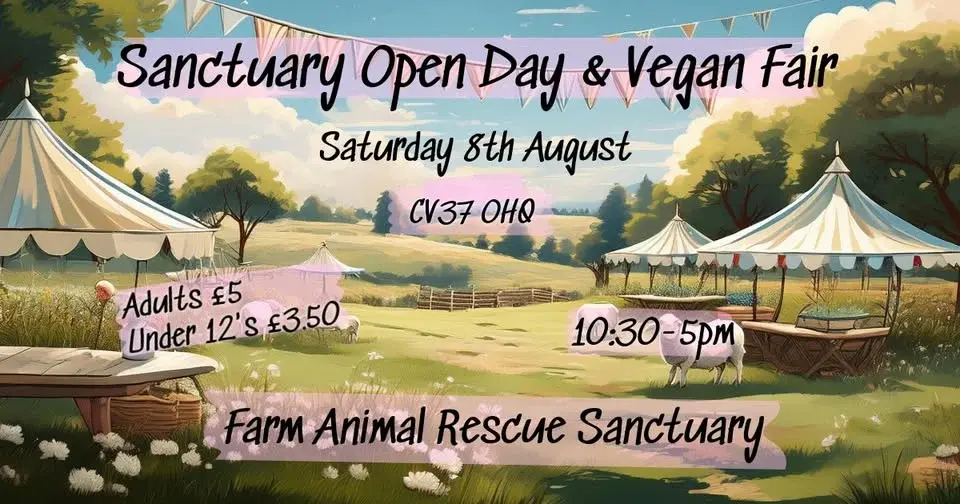 🌞Sanctuary Summer Open Day & Vegan Fair🌞