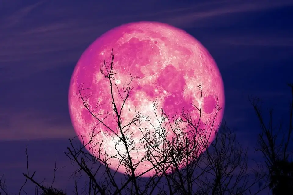 Strawberry Moon Festival - Litha