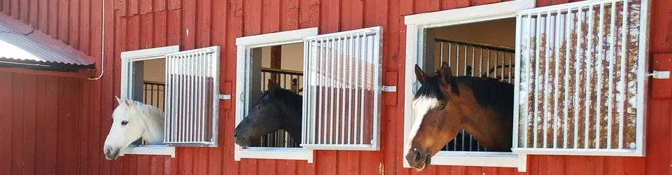 Mässa EuroHorse 19-22 Februari 2026