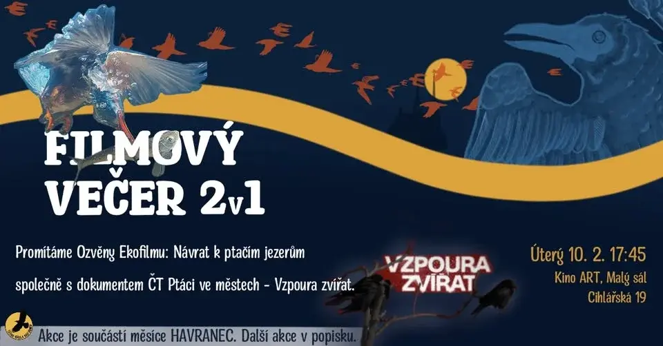 Ozvěny Ekofilmu – Zaostřeno na ptáky