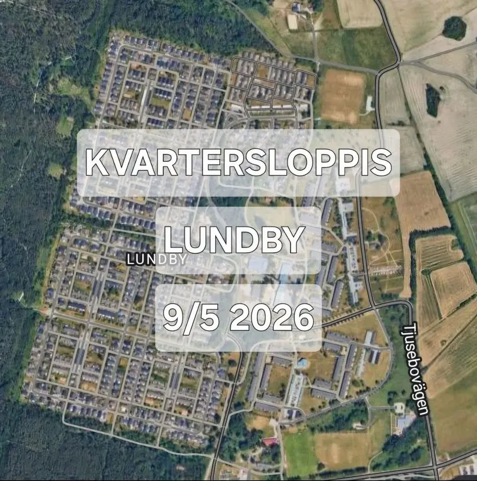 Loppis i Lundby