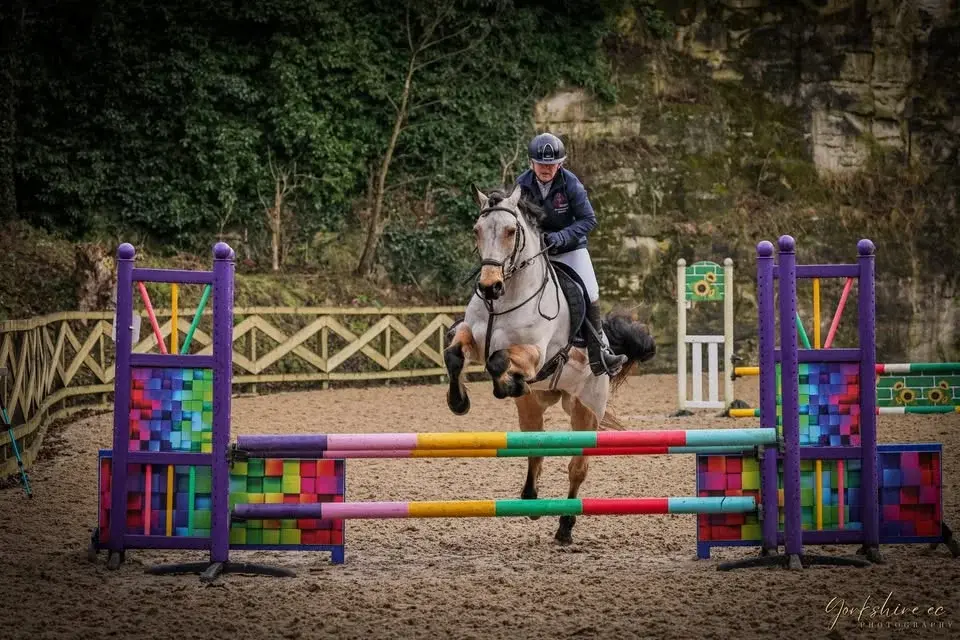 💫UNAFFILIATED SHOWJUMPING INC QUALIFIERS 💫