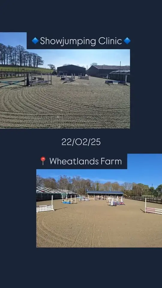Showjumping Clinic: Performance Under Pressure