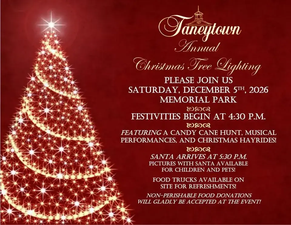 Christmas Tree Lighting