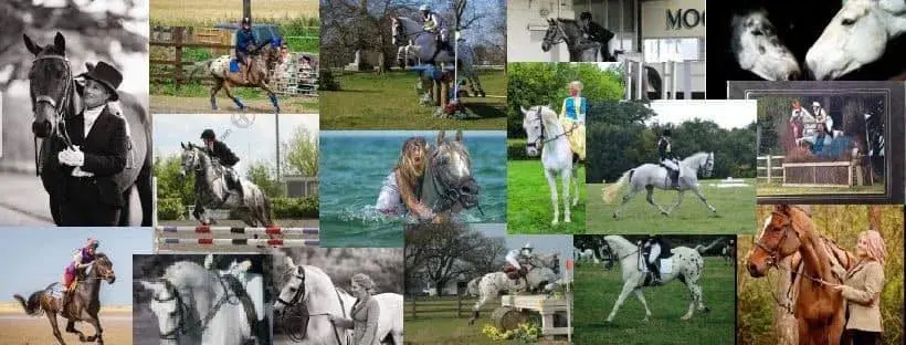 Arena eventing
