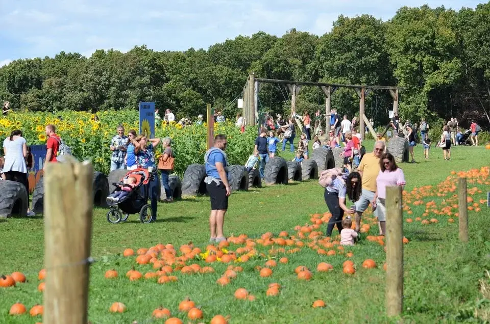 Fall Festival 