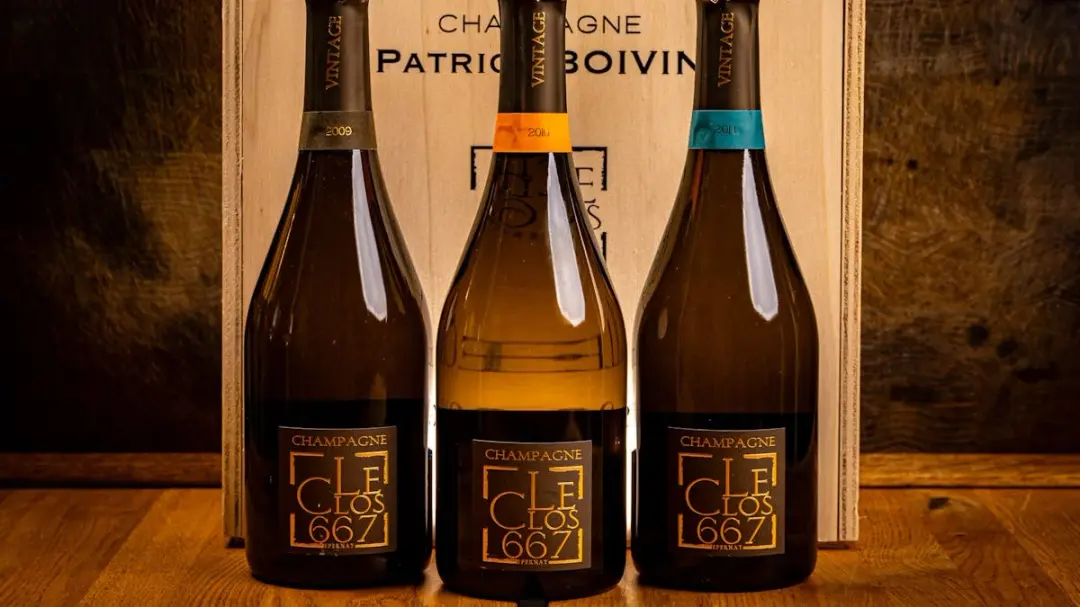 CHAMPAGNE PATRICK BOIVIN – LE CLOS 667 VERTICAL