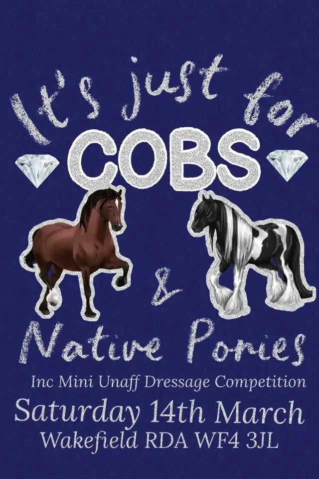 It’s Just for Cobs, Native Ponies and PB’s PYO training including Mini Unaff dressage comp & demo