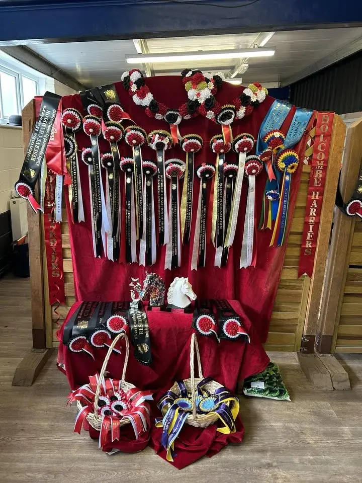 Holcombe Harriers Horse Show.