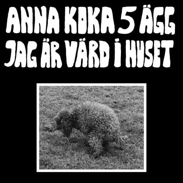 Anna Koka 5 Ägg Jag Är Värd i Huset + support