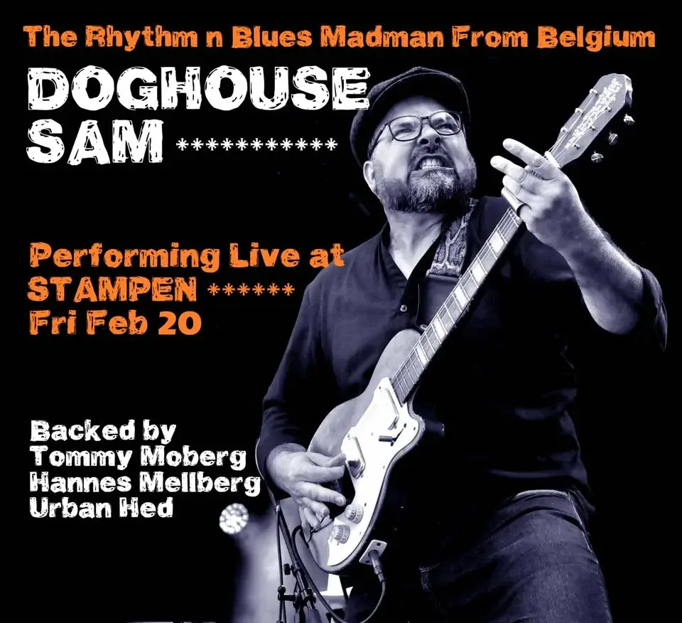 Doghouse Sam at Stampen!đ„