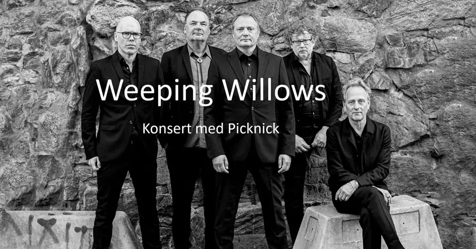 Weeping Willows - Mysig konsert med picknick 