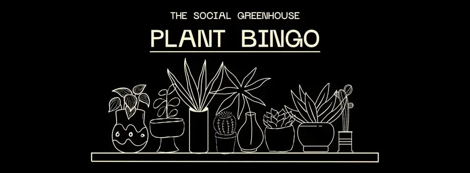 Plant Bingo