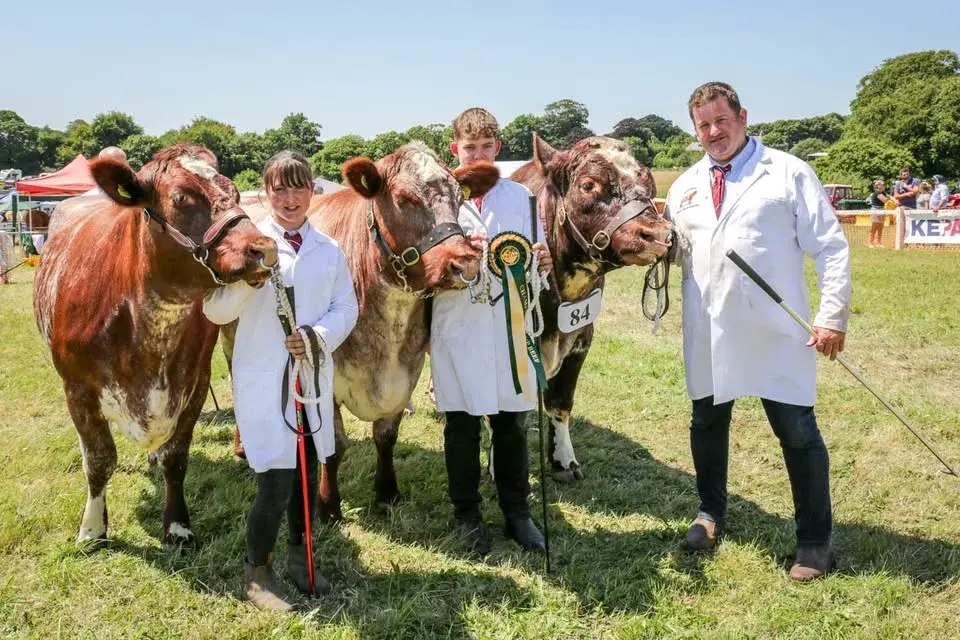 Liskeard Show